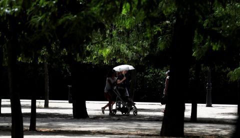 La presencia de áreas verdes en las ciudades protege contra la mortalidad prematura. EFE/Juan Carlos Hidalgo/Archivo