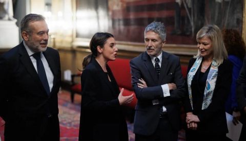 Contra Irene Montero: la disposición transitoria como arma política