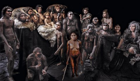 Foto Elisabeth Daynes/Science Photo Library