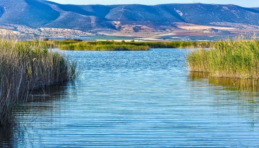  La sobreexplotación del acuífero de La Mancha Occidental (España) afecta al estado de los humedales del Parque Nacional de Las Tablas de Daimiel. Luis Pizarro Ruiz / Shutterstock
