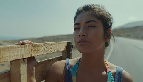 "La Francisca": mujer, joven y pobre, un filme sobre la precariedad en Chile