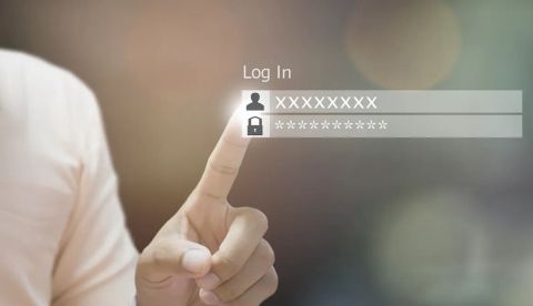 Shutterstock / e matkub2499