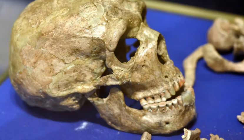 Los restos de Nandy, también conocido como Shanidar I, expuestos en el Museo Nacional de Irak, dejan evidencias de las lesiones que fue capaz de superar este hombre de neandertal hace más de 47 000 años. Osama Shukir Muhammed Amin / Wikimedia Commons, CC BY