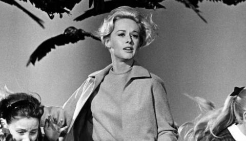 Fotograma de la película Los pájaros (1963). 