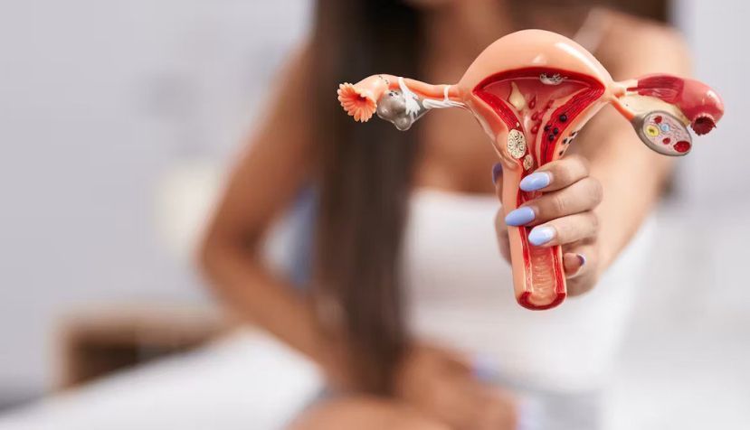 ¿Por qué las mujeres menstrúan y otros muchos animales no?