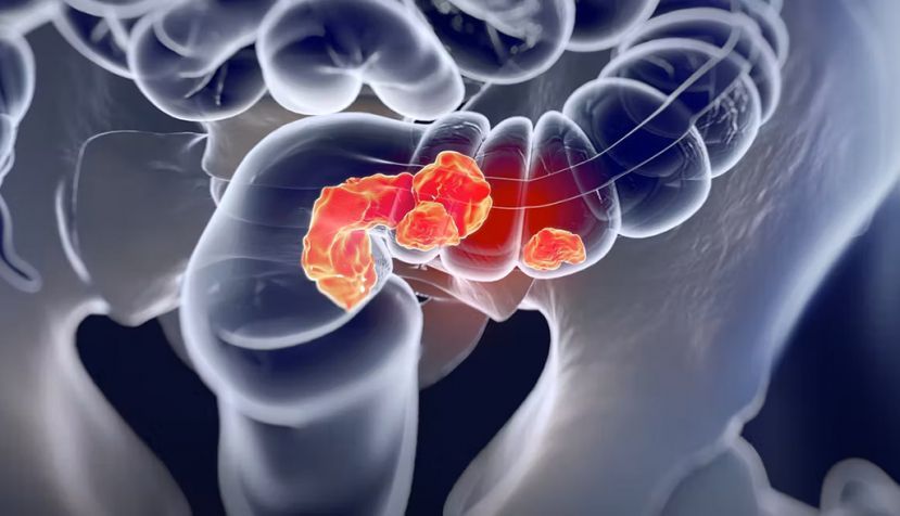 Shutterstock / Anatomy Image