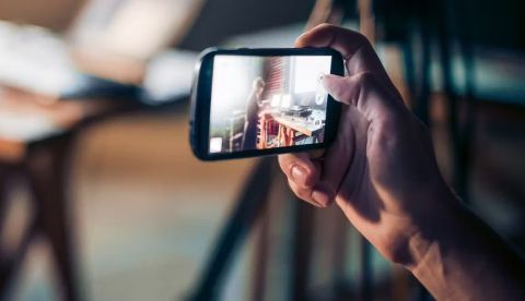 fornStudio/Shutterstock