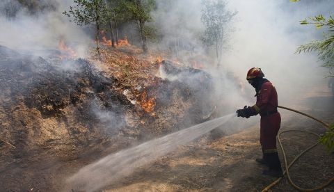 Incendios forestales y desarrollo rural