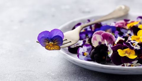 Shutterstock / Anna_Pustynnikova
