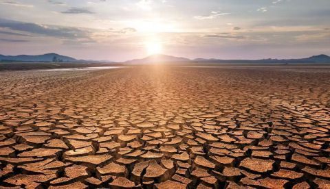 Calor extremo, sequía e incendios