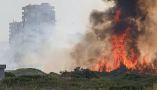 L'incendi a la Devesa del Saler d'agost de 2026. RTVE