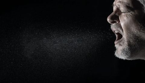 Shutterstock / Rainer Fuhrmann