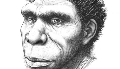 Homo bodoensis, un nombre nuevo para un ancestro humano en África