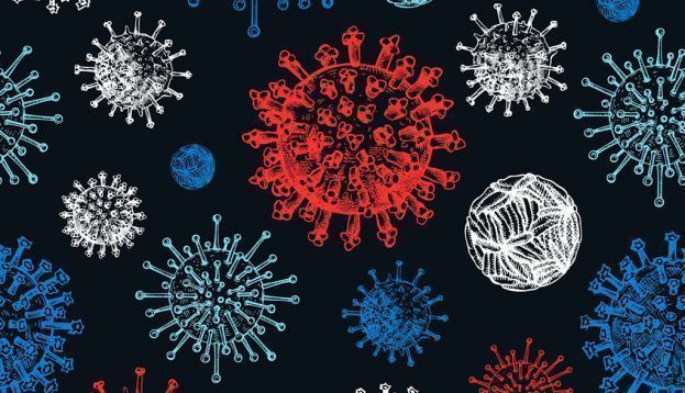 ¿Para qué sirven los virus?