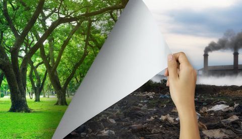 Qué emociones debe transmitir una campaña medioambiental para comprometernos