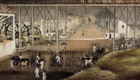 Ingenio ‘El Progreso’, propiedad del señor Marqués de Arcos, dibujado y litografiado por Eduardo Laplante. Del libro ‘Los ingenios: colección de vistas de los principales ingenios de azúcar de la isla de Cuba’. Proyecto Gutenberg