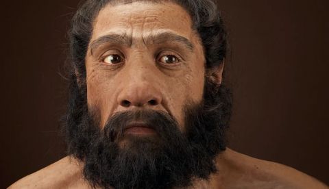 Recreación de un hombre neandertal adulto. Wikimedia Commons / Smithsonian / John Gurche / Chip Clark