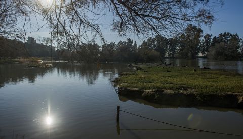 Vista d la Cañada de los Pájaros, primera reserva natural concertada de España, ubicada en Puebla del Río (Sevilla), en el Espacio Natural de Doñana. EFE/Raúl Caro/Archivo