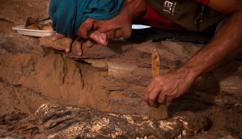 Sorpresa en una pequeña tumba egipcia: Hallan diez momias de cocodrilos