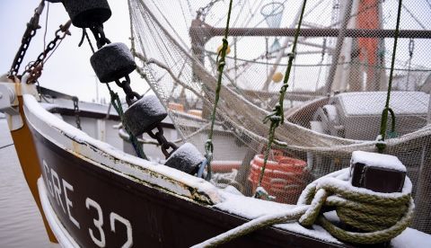 El calentamiento global de los océanos ha provocado que especies que estaban limitadas a los mares del sur de Europa, como la merluza, hayan expandido hacia el norte su área de distribución. EFE/ David Hecker/Archivo
