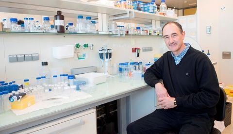 En la fotografía, el director de la investigación, el profesor Luis Liz Marzán. Imagen cedida por el Centro de Investigación Cooperativa en Biomateriales BiomaGune de San Sebastián. EFE