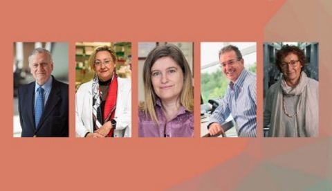 Foto: Ministerio de Ciencia, Innovación y Universidades 	   