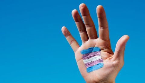 La nueva ley trans llega a tiempo para el Orgullo tras una ardua negociación