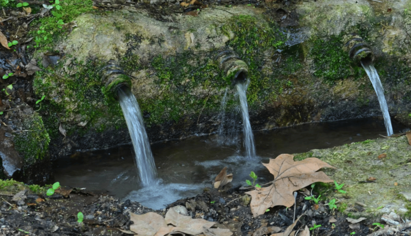 La contaminación de las aguas con restos de antibióticos es un motivo de preocupación en el ámbito de la salud humana y medioambiental. Josep Mas-Pla.