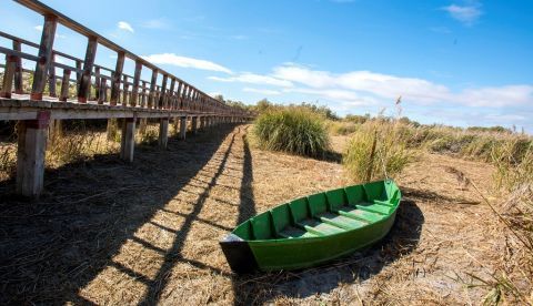 Parque Nacional de las Tablas de Daimiel. EFE/ Mariano Cieza Moreno/ Archivo