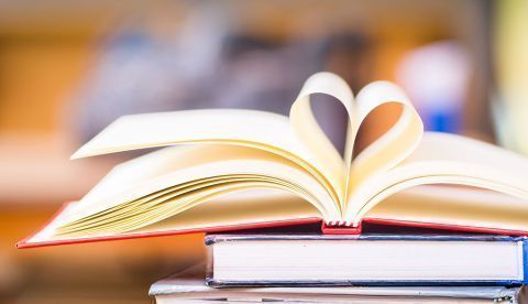Día del Libro: los robadores de libros