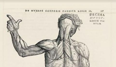 Un viaje por la historia de la ciencia a través de 300 ilustraciones