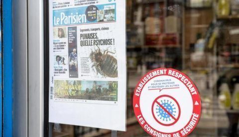 Terror Kafkiano en París: la plaga de chinches y el sueño surrealista