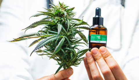 Un médico muestra un planta de cannabis y un medicamento. OMfotovideocontent/Shutterstock
