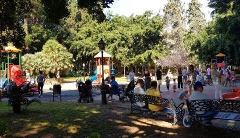 Parque en Marbella. Luis Alberto Díaz-Galiano, Author provided