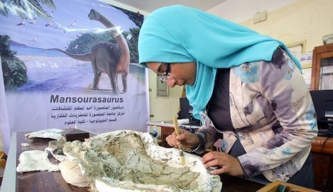 Una investigadora trbaja con los restos de la mandíbula del nuevo ejemplar de dinosaurio "Mansourasaurus" , descubierto por científicos de la Universidad de Mansura en Egipto. EFE