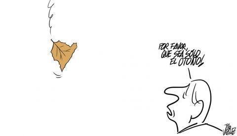 “Otoño 2020”