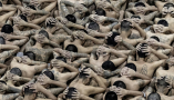 Detenidos en formación antes de ser escoltados a sus celdas en un centro de alta seguridad de Tecoluca, El Salvador. youledtayif/Shutterstock