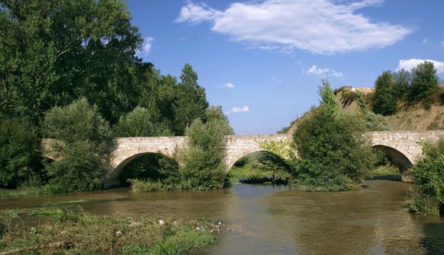 El río Arga a su paso por Burlada