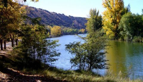 Roadtrip: carretera y manta... “Camino Soria”