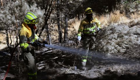 Crean un explorador forestal para hacer seguimiento de incendios y plagas / EFE / ARCHIVO
