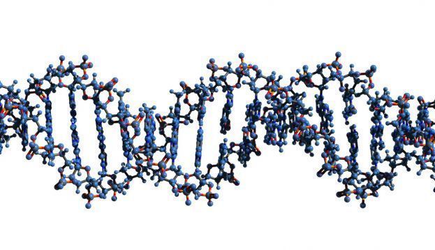 Virus con ADN “extraterrestre”