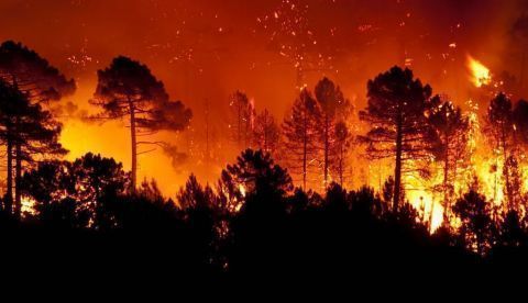 Incendios catastróficos, mezquindad y cambio climático