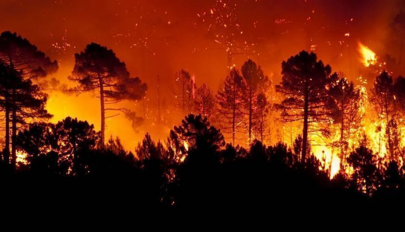 Incendios catastróficos, mezquindad y cambio climático