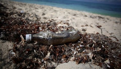Desechos plásticos en una playa cercana a la ciudad de Cancún (México). EFE/Lourdes Cruz