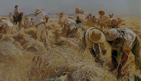 Las primeras memorias de agricultura en la Matritense