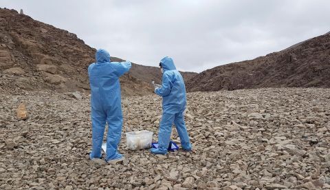 Fotografía facilitada por Margarita Azúa de los profesores Armado Azúa-Bustos y Carlos González-Silva, con trajes estériles, que recolectan muestras de microorganismos en la cordillera costera del desierto de Atacama (norte de Chile), el lugar más árido de La Tierra. EFE/ Margarita Azúa 	   