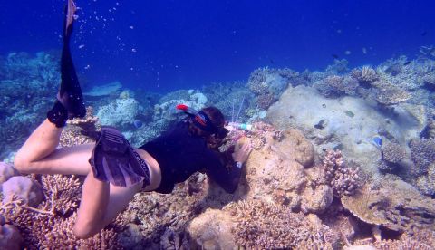 Fotografía facilitada por Tracey Turner Auckland University de Ana Vila-Concejo, que dirige el Grupo de Investigación Geocostera de la Universidad de Sídney. EFE