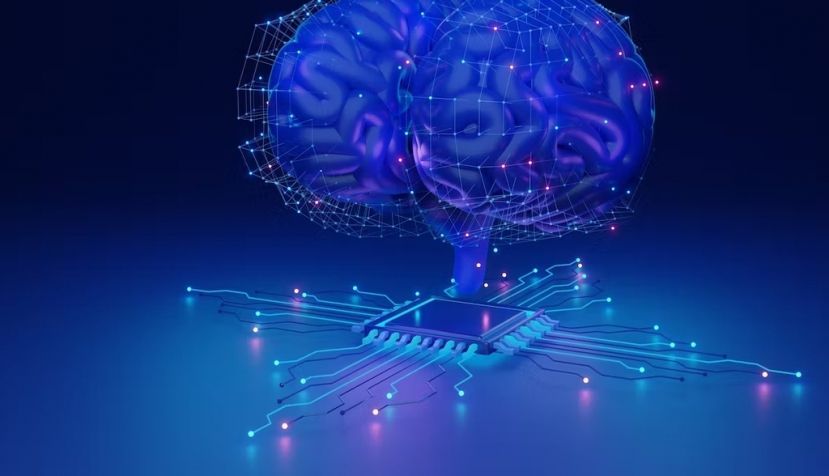 Shutterstock / VectorMine