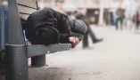 Srdjan Randjelovic / Shutterstock
