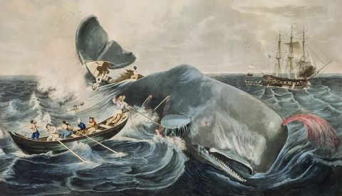Cuadro del siglo XIX que muestra la caza de cachalotes | Museo Peabody Essex